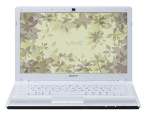 Sony VAIO VPC-CW1E1R (Pentium Dual-Core T4300 2100 Mhz/14.0"/1366x768/4096Mb/320.0Gb/DVD-RW/Wi-Fi/Bluetooth/Win 7 HP)