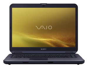 Ноутбук Sony VAIO VGN-NS290J