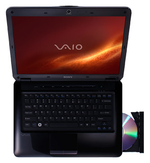 Ноутбук Sony VAIO VGN-CS290JEQ