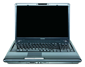 Toshiba SATELLITE P305D-S8828 (Turion X2 RM-70 2000 Mhz/17.0"/1440x900/3072Mb/200.0Gb/DVD-RW/Wi-Fi/Bluetooth/Win Vista HP)