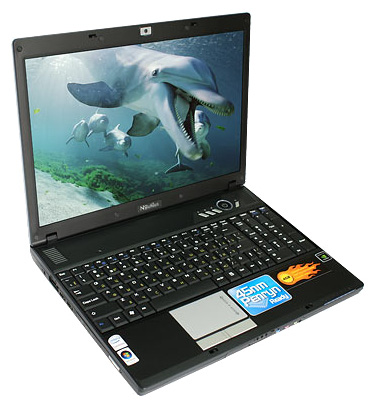 RoverBook NAUTILUS V572 (Core 2 Duo T8100 2100 Mhz/15.4"/1680x1050/2048Mb/250.0Gb/DVD-RW/Wi-Fi/Bluetooth/WinXP Home)