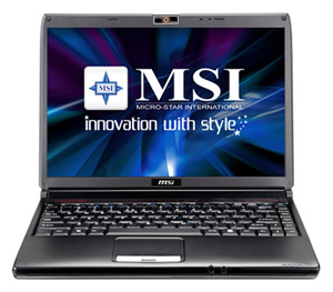 MSI EX300 (Core 2 Duo P8400 2260 Mhz/13.3"/1280x800/4096Mb/250.0Gb/DVD-RW/Wi-Fi/Bluetooth/Win Vista HP)