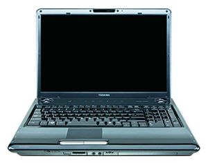 Toshiba SATELLITE P305D-S8900 (Turion X2 RM-70 2000  Mhz/17.1"/1440x900/4096Mb/320Gb/DVD-RW/Wi-Fi/Win Vista HP)