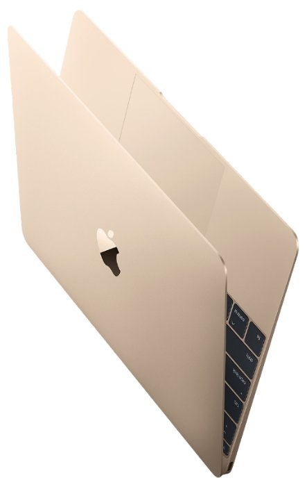 Apple Ноутбук Apple MacBook Mid 2017 (Intel Core i5 1300 MHz/12"/2304x1440/8Gb/512Gb SSD/DVD нет/Intel HD Graphics 615/Wi-Fi/Bluetooth/MacOS X)