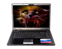 RoverBook Ноутбук RoverBook RoverBook Pro 554 GS